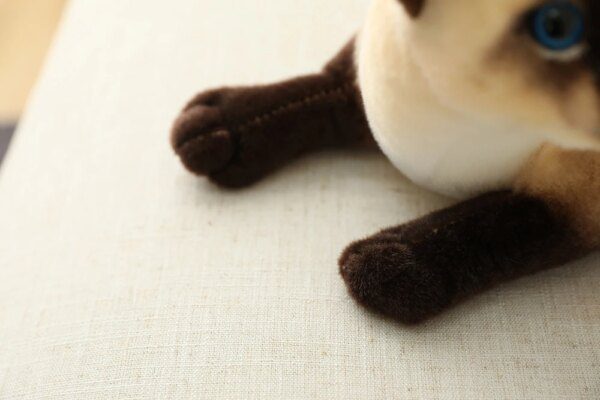 105751-446f89.jpg Peluche chat de 25 à 40 cm, jouet de Simulation de chat américain