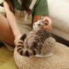 105751-75d152.jpg Peluche chat de 25 à 40 cm, jouet de Simulation de chat américain