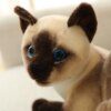 105751-b80918.jpg Peluche chat de 25 à 40 cm, jouet de Simulation de chat américain