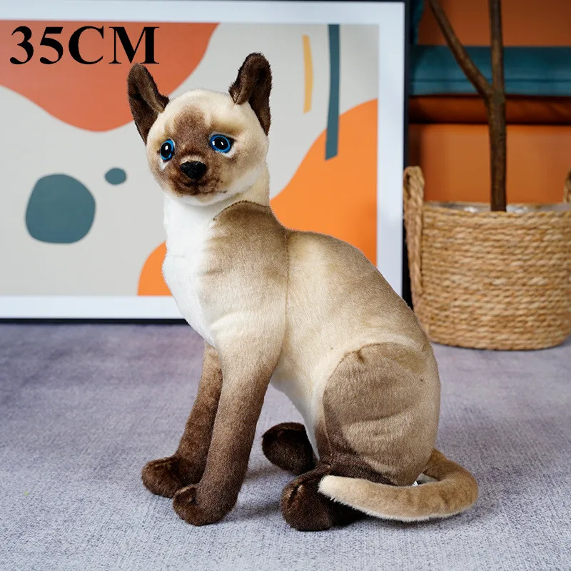 35cm sit brown