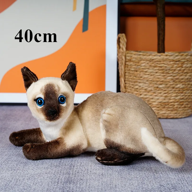 40cm lying brown