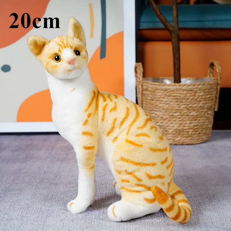 20cm sit orange