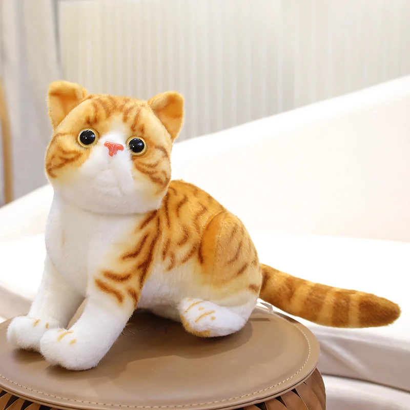 26cm orange