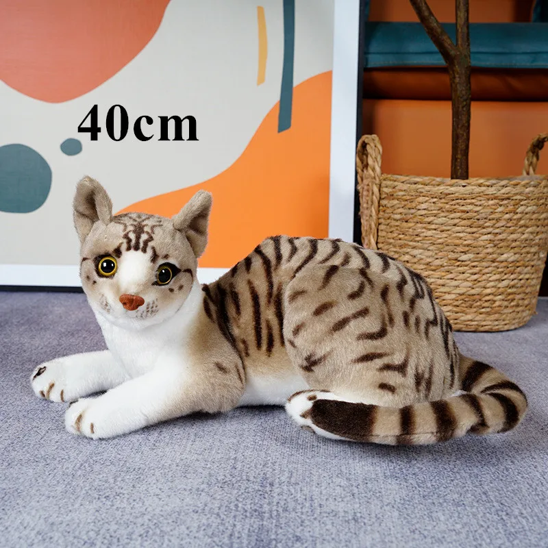40cm lying pattern