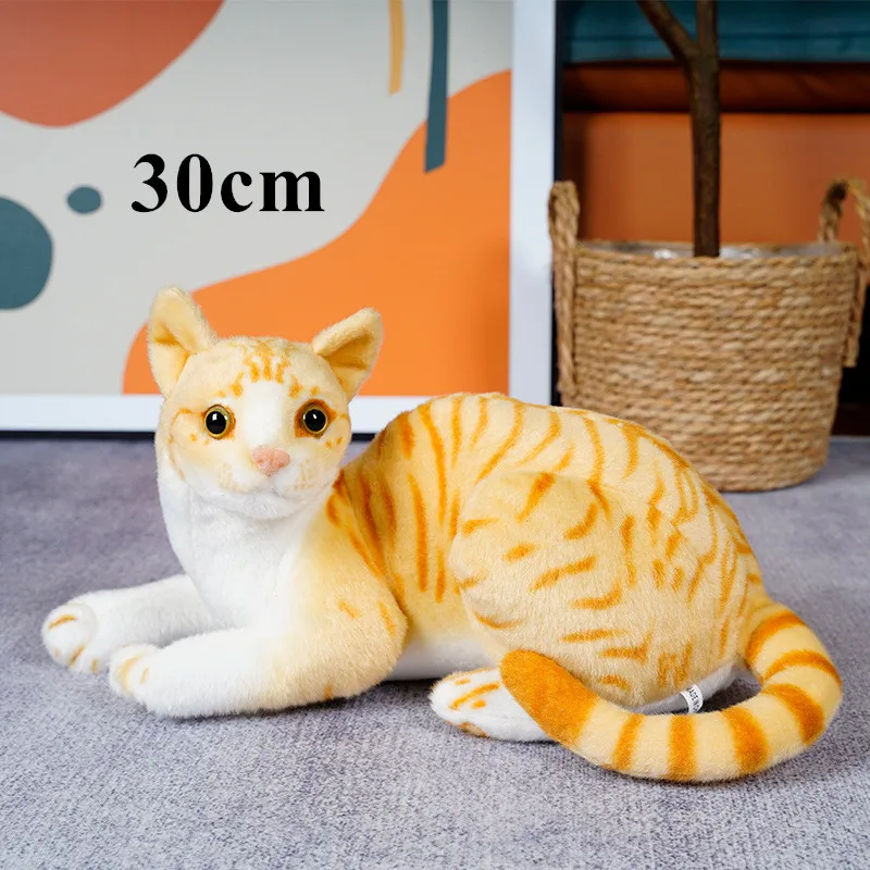 30cm lying orange