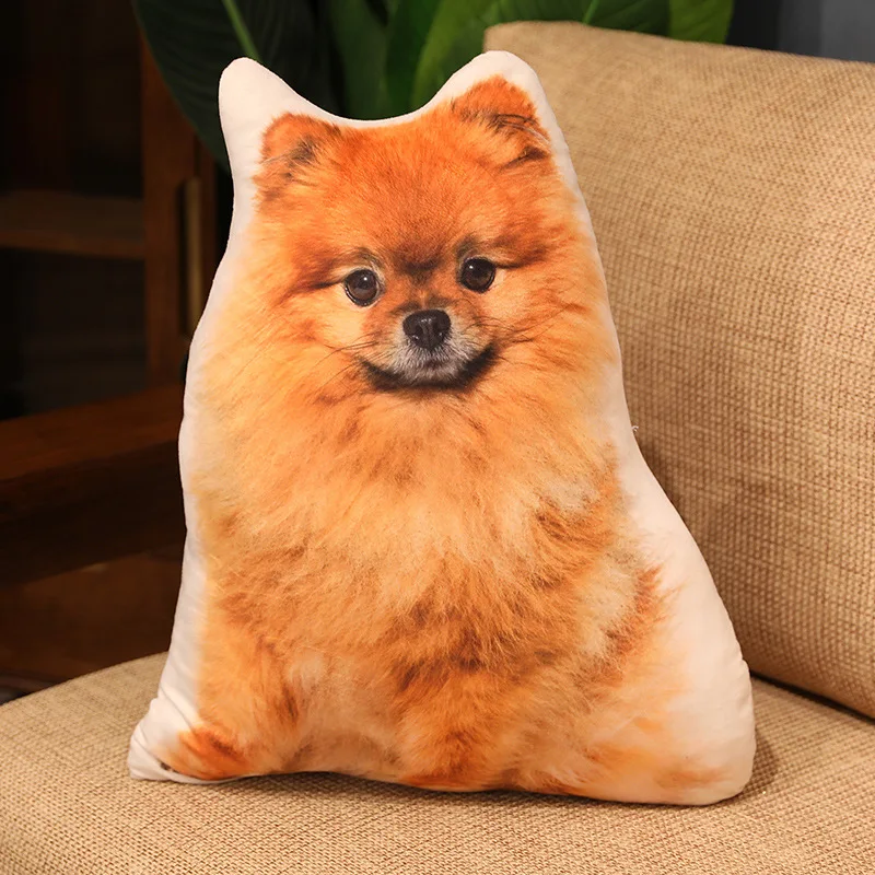 pomeranian