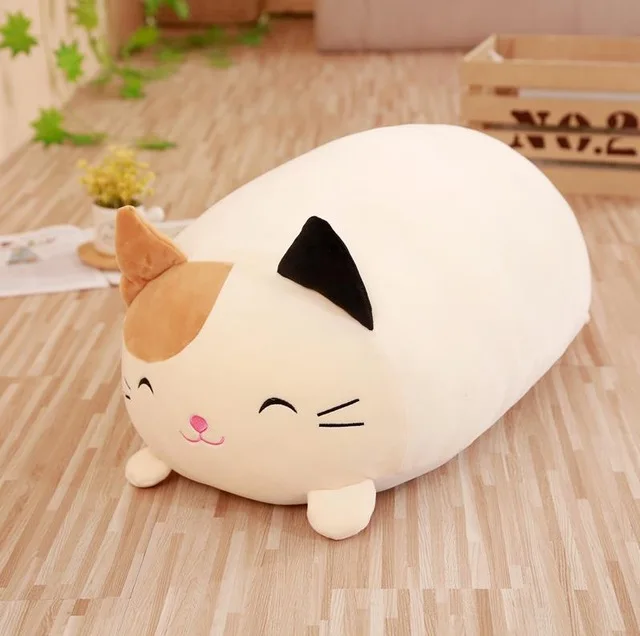 30cm cat