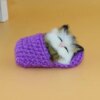 peluche chat en Mini chaussure endormis, jouet pour enfants