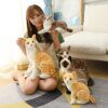 106619-742366.jpg Chat peluche Oreiller Simulation de chat américain, en peluche