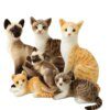 106619-9cb635.jpg Chat peluche Oreiller Simulation de chat américain, en peluche