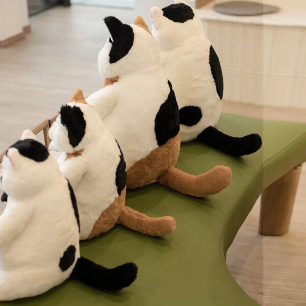 Peluche chat Kawaii gras 35/45cm, jouet mignon et paresseux