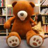 Peluche geante ours pour enfants, 7 couleurs, 100-260cm