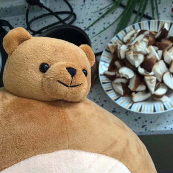 Peluche ours oreiller en peluche, grosse tête, corps musculaire