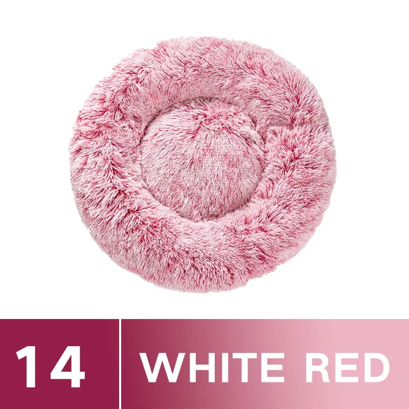 Color 14