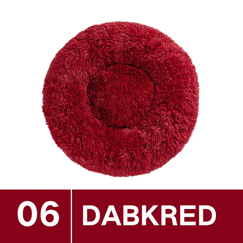 Color 6