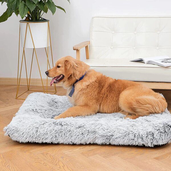 Coussin en peluche super douce apaisante – Lit polyvalent