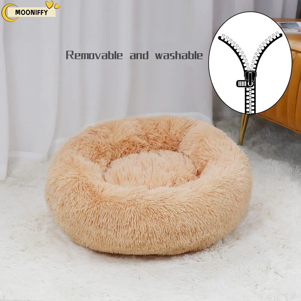 apricot-detachable