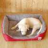 panier chien chaud pour animaux de compagnie de couleur bonbon