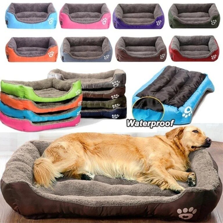 Le choix qui simplifie les promenades avec Laisse pour chien - Laisse pour chien