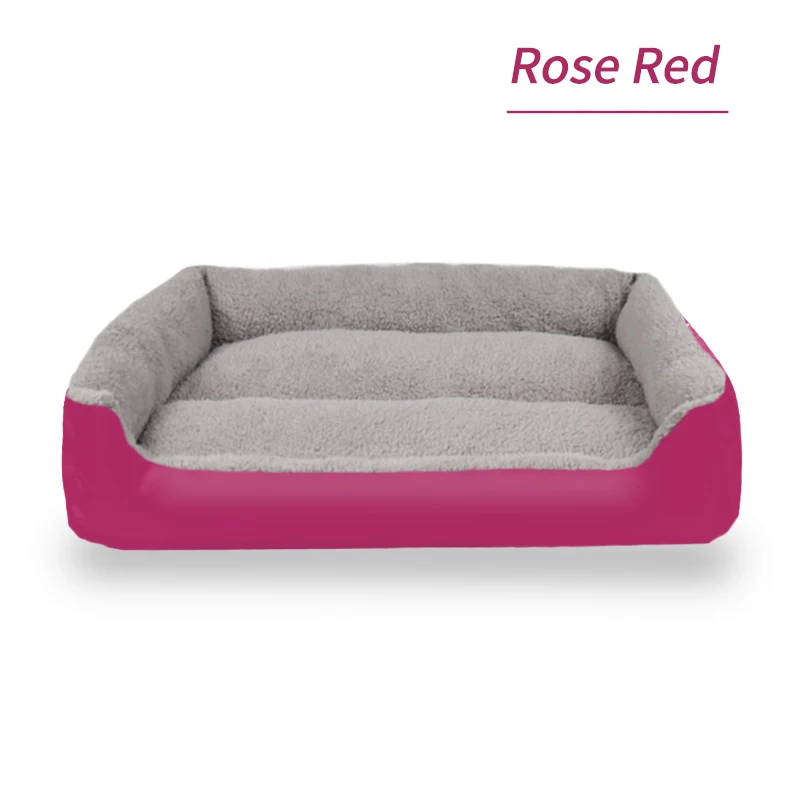 ROSE RED