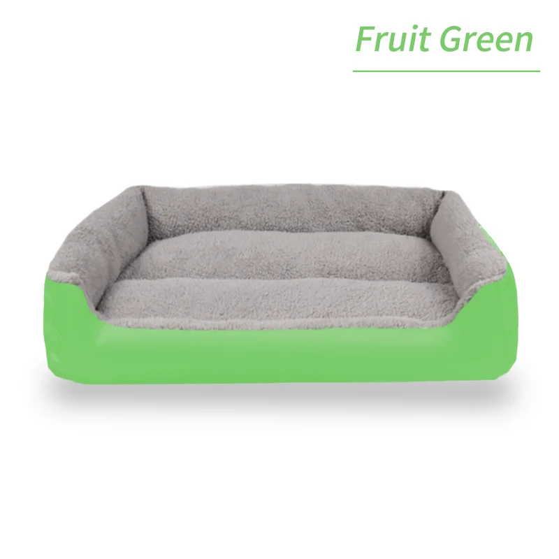 Fruit Green