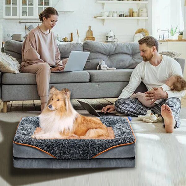 lit pour chien Polymères lavables pour petits chiens