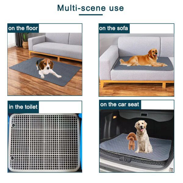 110715-6cfcec.jpg Tapis Multi-Usages Imperméable & Ultra-Absorbant pour Chien & Chat