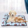 110867-64df63.jpg Tapis rafraîchissant pour chien & chat – Coussin en polymères