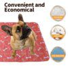 Tapis Imperméable Réutilisable pour Chien & Chat – Protection Canapé
