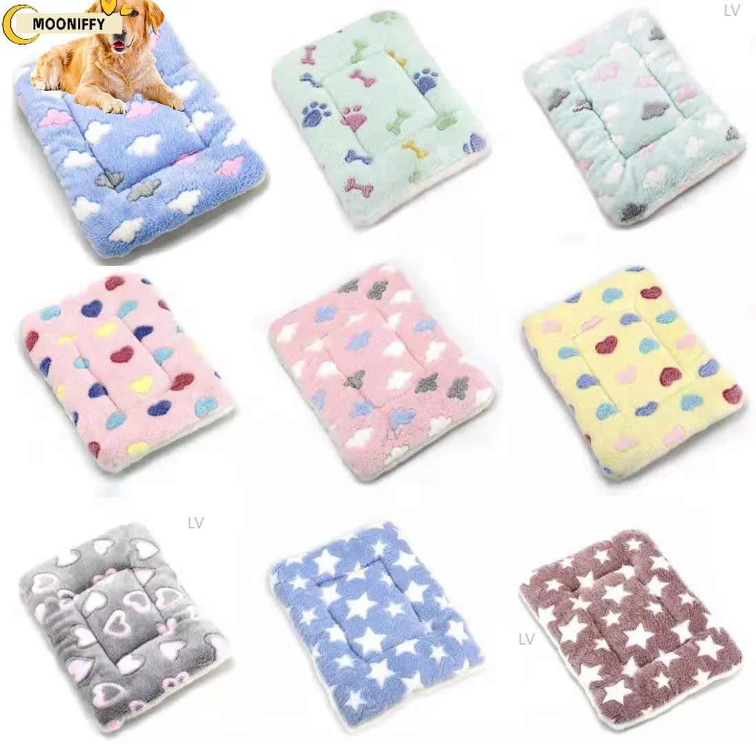 Tapis pour chien - Guide d'achat 2026
