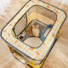 Tente pour Chat Pliante Confortable – Maison de Mise Bas