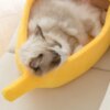 Niche pour Chat en Polymère “Banane” – Maison Chaude