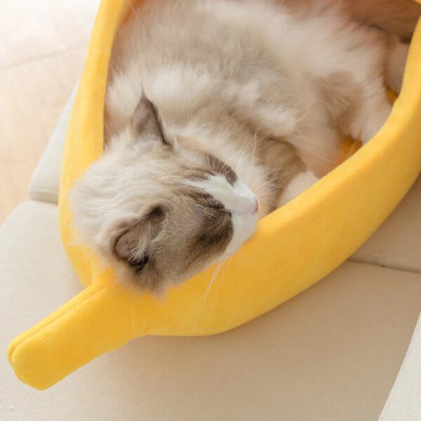 Niche pour Chat en Polymère “Banane” – Maison Chaude