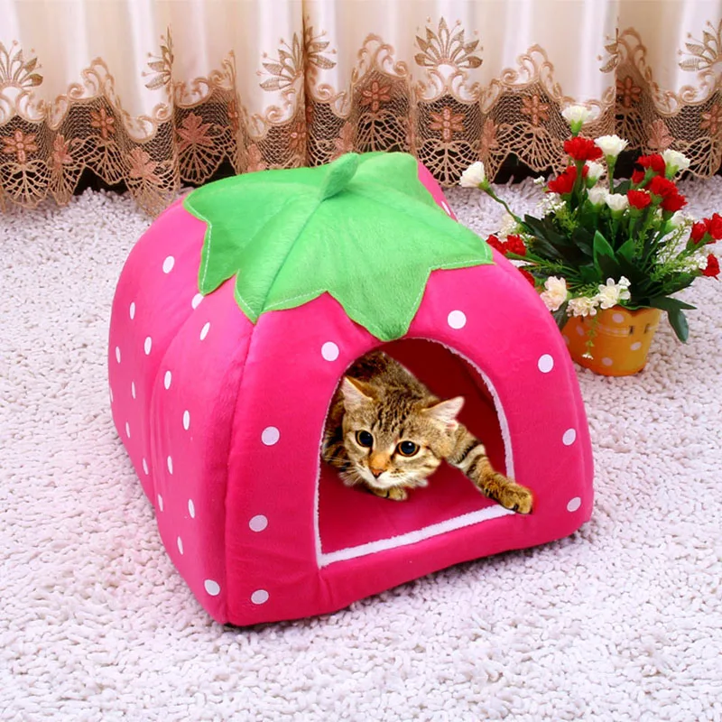 Erreurs a eviter en niche chien kitten