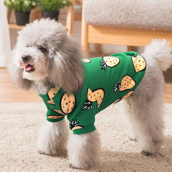 Pull pour chat & petit chien – Sweat à capuche doux et chaud automne