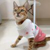 Pull à Capuche d’Hiver en Laine pour Chat & Petit Chien – Spécial Sphynx