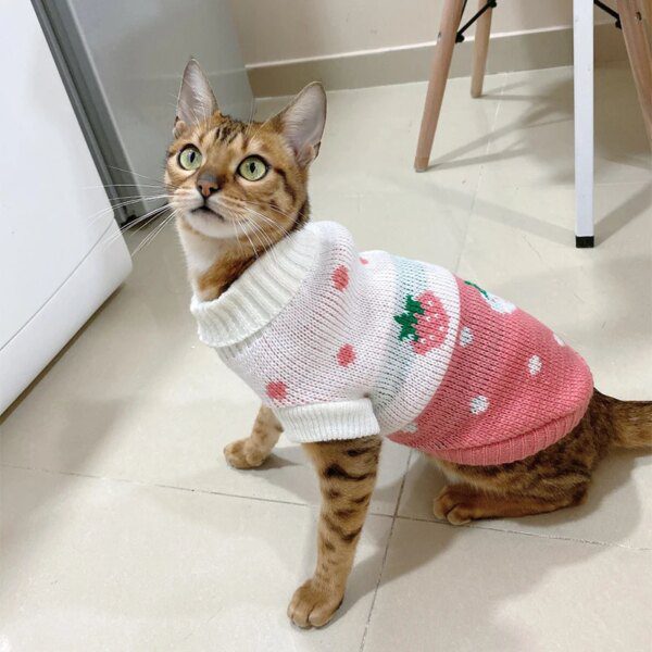 Pull à Capuche d’Hiver en Laine pour Chat & Petit Chien – Spécial Sphynx