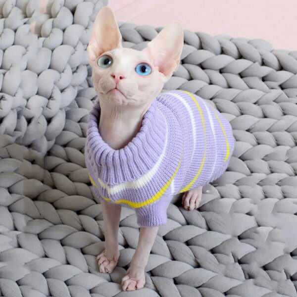 Pull à Capuche d’Hiver en Laine pour Chat & Petit Chien – Spécial Sphynx