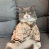 Pull d’Hiver Post-Stérilisation pour Chien & Chat – Vêtement