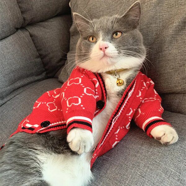 Pull d’Hiver Post-Stérilisation pour Chien & Chat – Vêtement