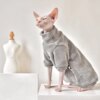 Pull d’Hiver Élégant & Chaud pour Chat Sphynx – Robe Confort