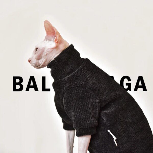 Pull d’Hiver Élégant & Chaud pour Chat Sphynx – Robe Confort