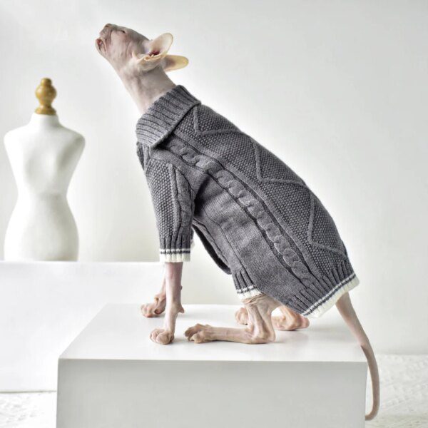 Pull d’Hiver pour Chat Sans Poils – Design Exclusif Spécial Sphynx