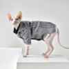 Pull d’Hiver pour Chat Sans Poils – Design Exclusif Spécial Sphynx