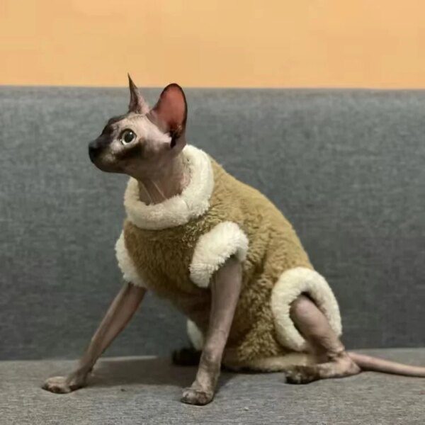 Pull d’Hiver à Col Haut pour Chat Sans Poils – Combinaison Chaude