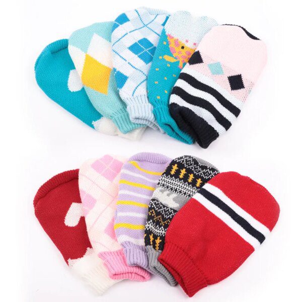 Pull à Capuche Cartoon pour Chat & Petit Chien – Sweat d’Hiver