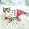 Pull d’Hiver Mascotte pour Chat & Petit Chien – Vêtement Automne