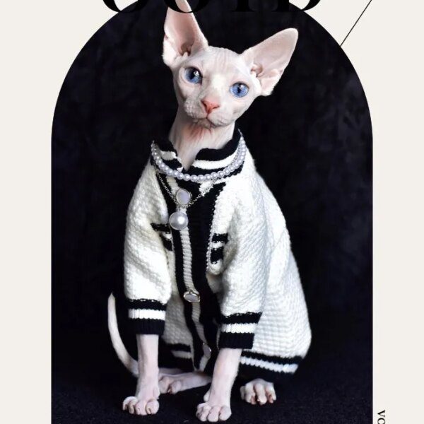 Deguisement sphinx de style parfumé Sphinx pour chat sans poils