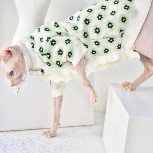 113054-04db3f.jpg Déguisement pour chat – Veste pull en dentelle chic