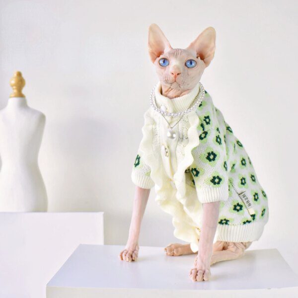 Déguisement pour chat – Veste pull en dentelle chic